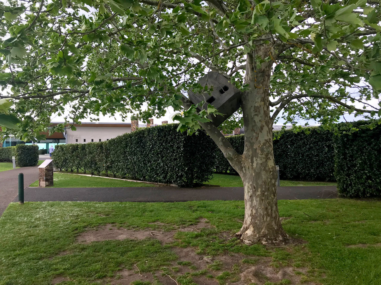 Nina Sanadze, Bollard Up the Tree 2018