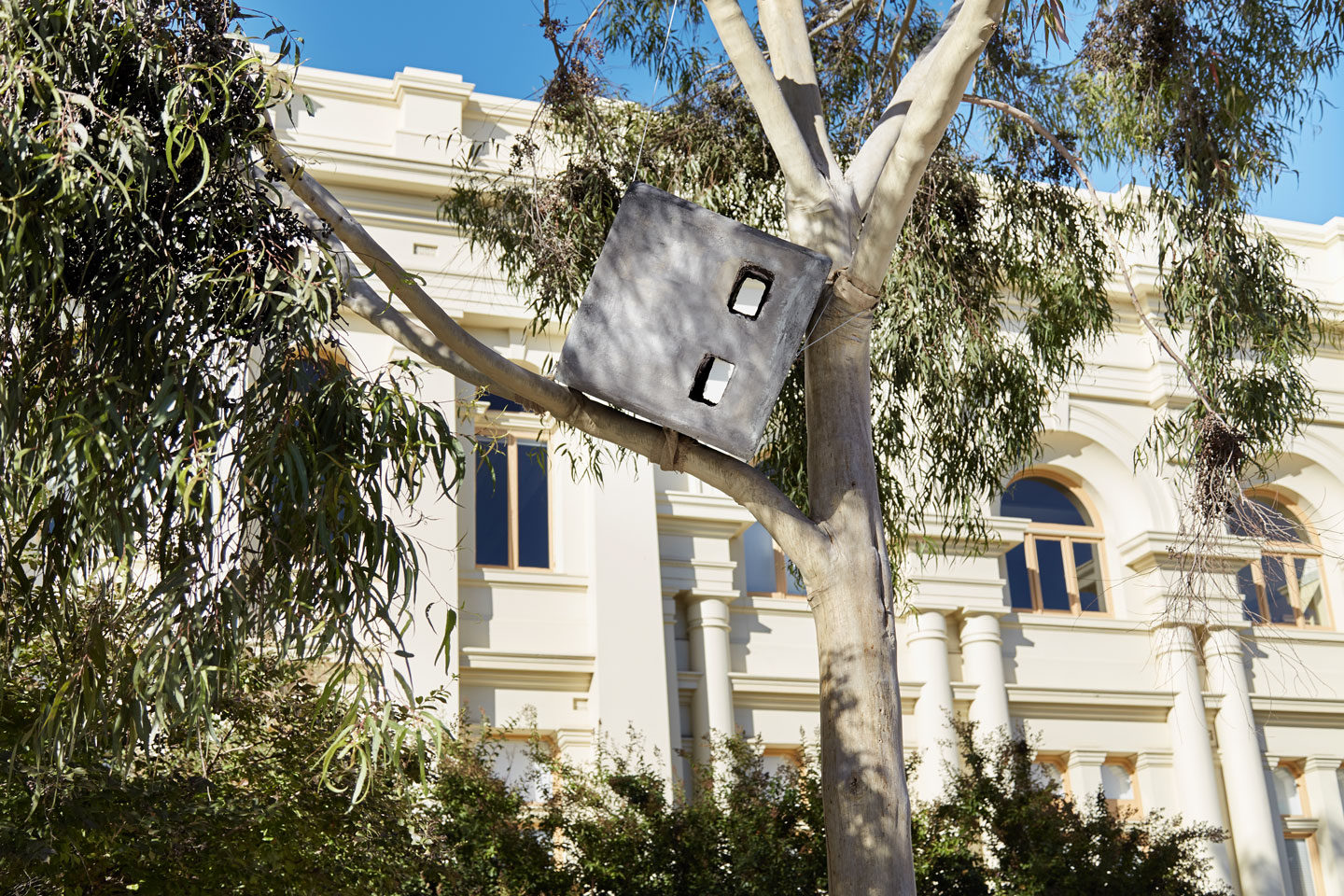 Nina Sanadze, Bollard up the Tree 2019